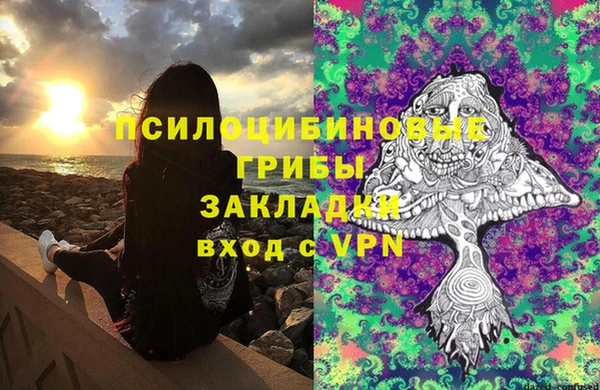 дживик Волоколамск