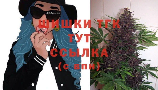 дживик Волоколамск